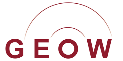 Logo Institut Geowissenschaften