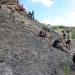 Fossilsuche im Steinbruch von Kelligrews, Conception Bay South.
